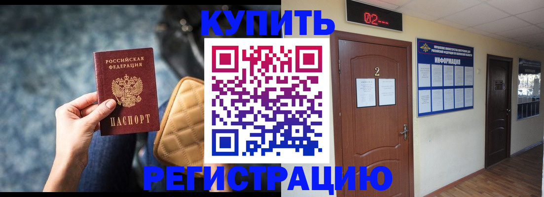 прописка 2025 в Михайловке